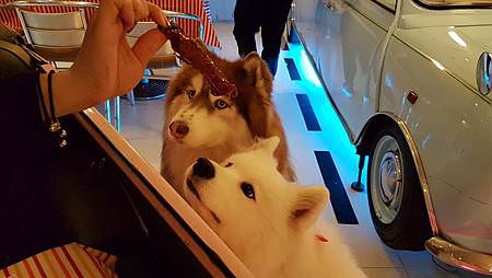 20170321_183334.jpg