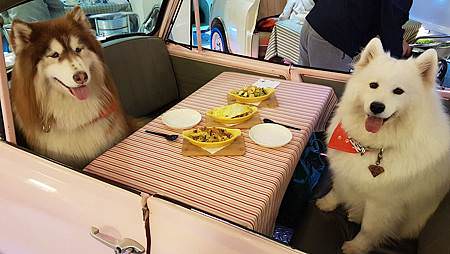 20170321_190426.jpg