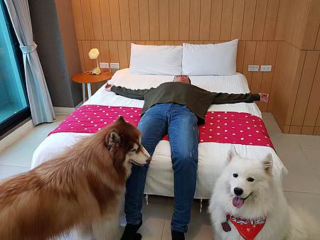 20171212_154508.jpg