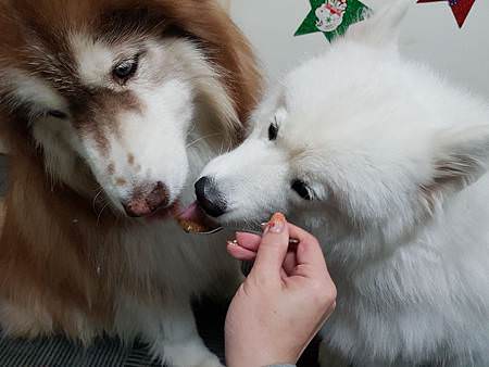 20180114_130552.jpg