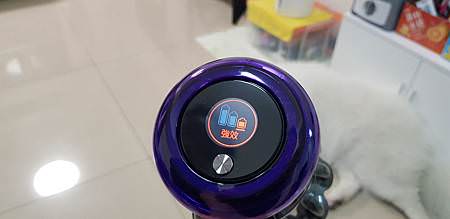 20190528_193517.jpg