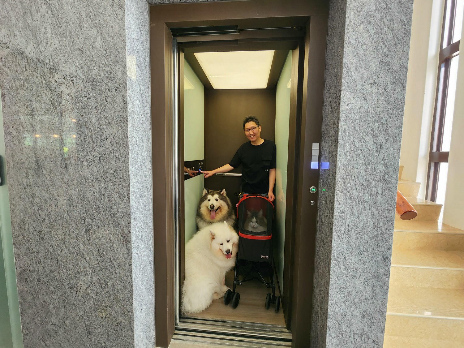 苗栗南庄│樂吧溪畔莊園│寵物樂園│民宿│景觀餐廳│寵物游泳池 - 第8張圖
