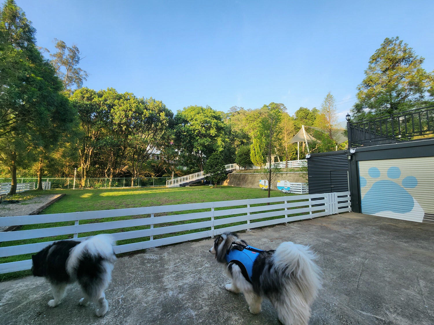 苗栗南庄│樂吧溪畔莊園│寵物樂園│民宿│景觀餐廳│寵物游泳池 - 第2張圖