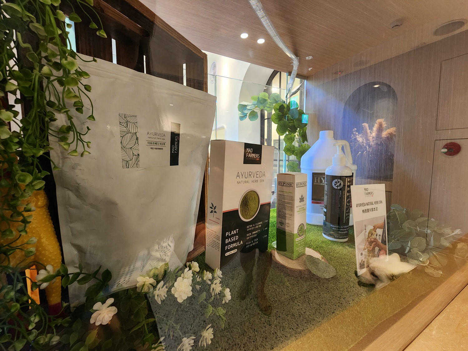 高雄楠梓∣多野樂旅館∣異國蔬食創意料理︱寵物友善旅館∣寵物游泳池 - 第22張圖