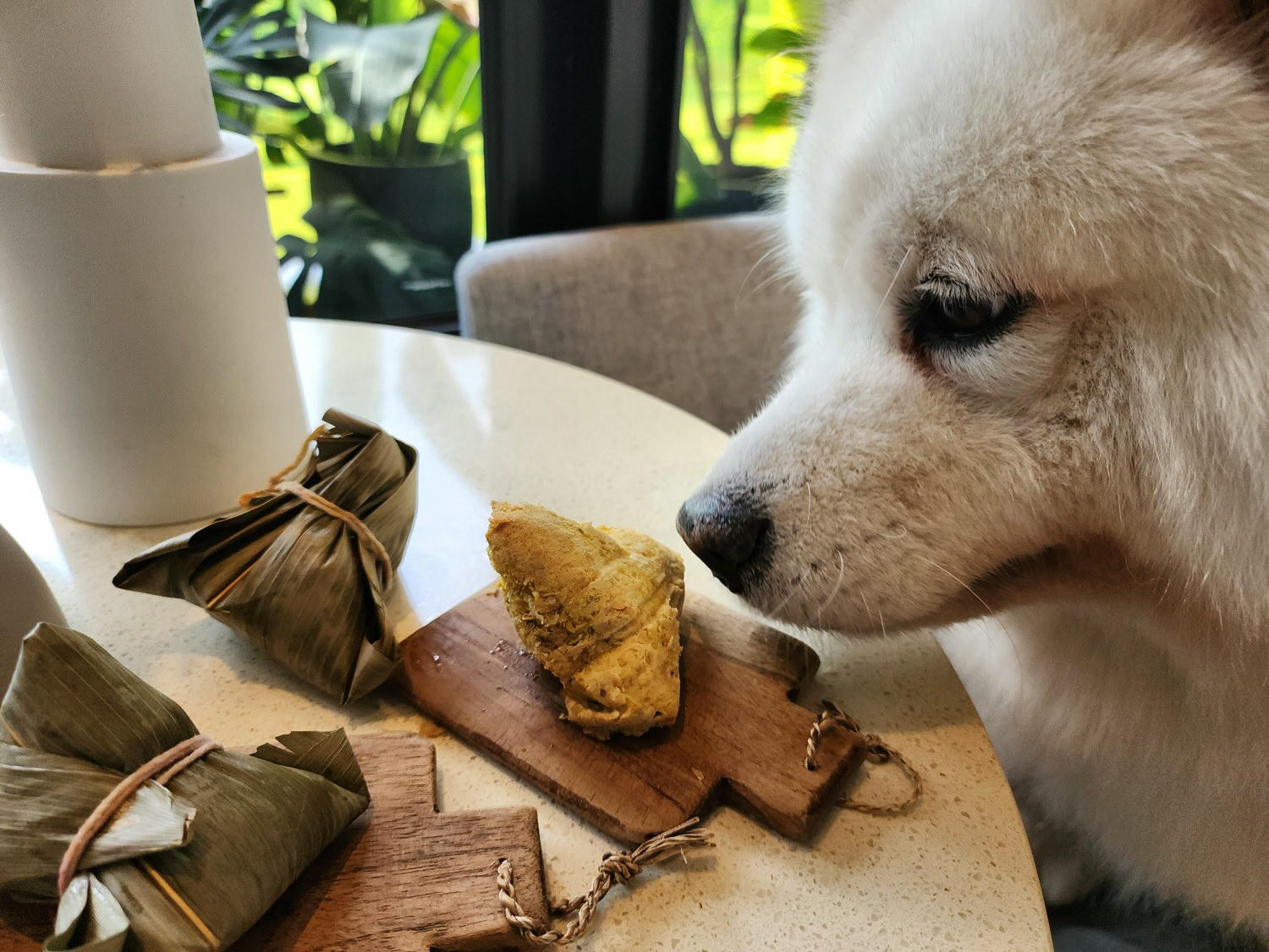 高雄楠梓∣多野樂旅館∣異國蔬食創意料理︱寵物友善旅館∣寵物游泳池 - 第31張圖